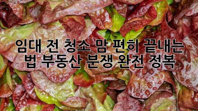 🧹 임대 전 청소, 맘 편히 끝내는 법! 부동산 분쟁 완전 정복 🛡️