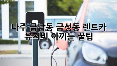 나주 금남동, 금성동 렌트카 유지비 아끼는 꿀팁🍯🚗