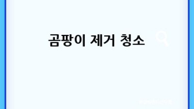 경산 용성면 용천리 유해물질 제거 청소 완벽 가이드