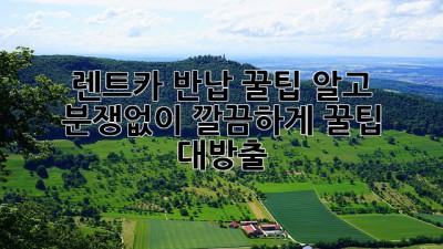 🚗 렌트카 반납, 꿀팁 알고 분쟁없이 깔끔하게! 꿀팁 대방출 🍯