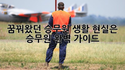 꿈꿔왔던 승무원 생활, 현실은? 승무원 완벽 가이드
